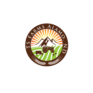 Logo Design by Bullseye Pixel