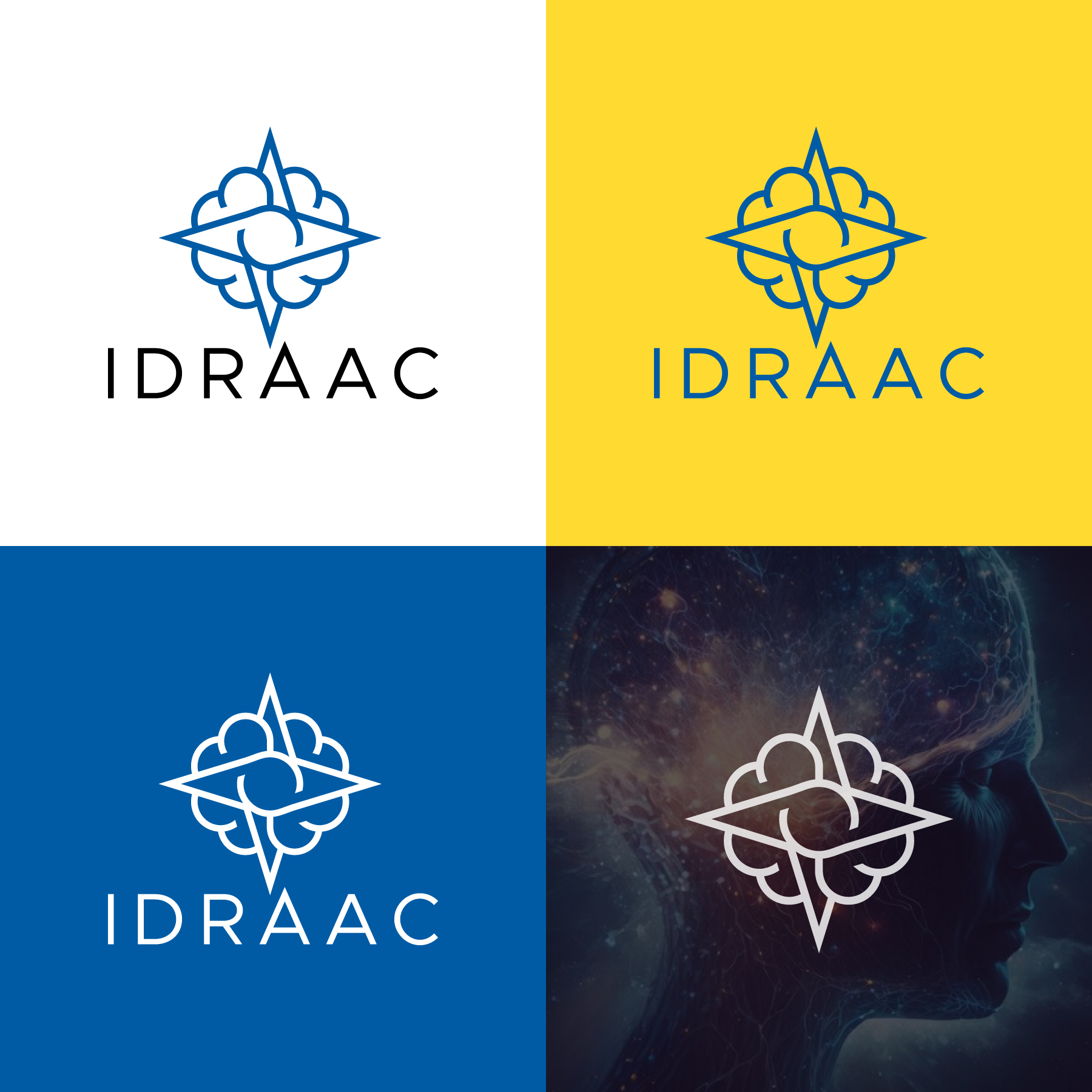 Logo Design by debdesign for IDRAAC | Design #32537879