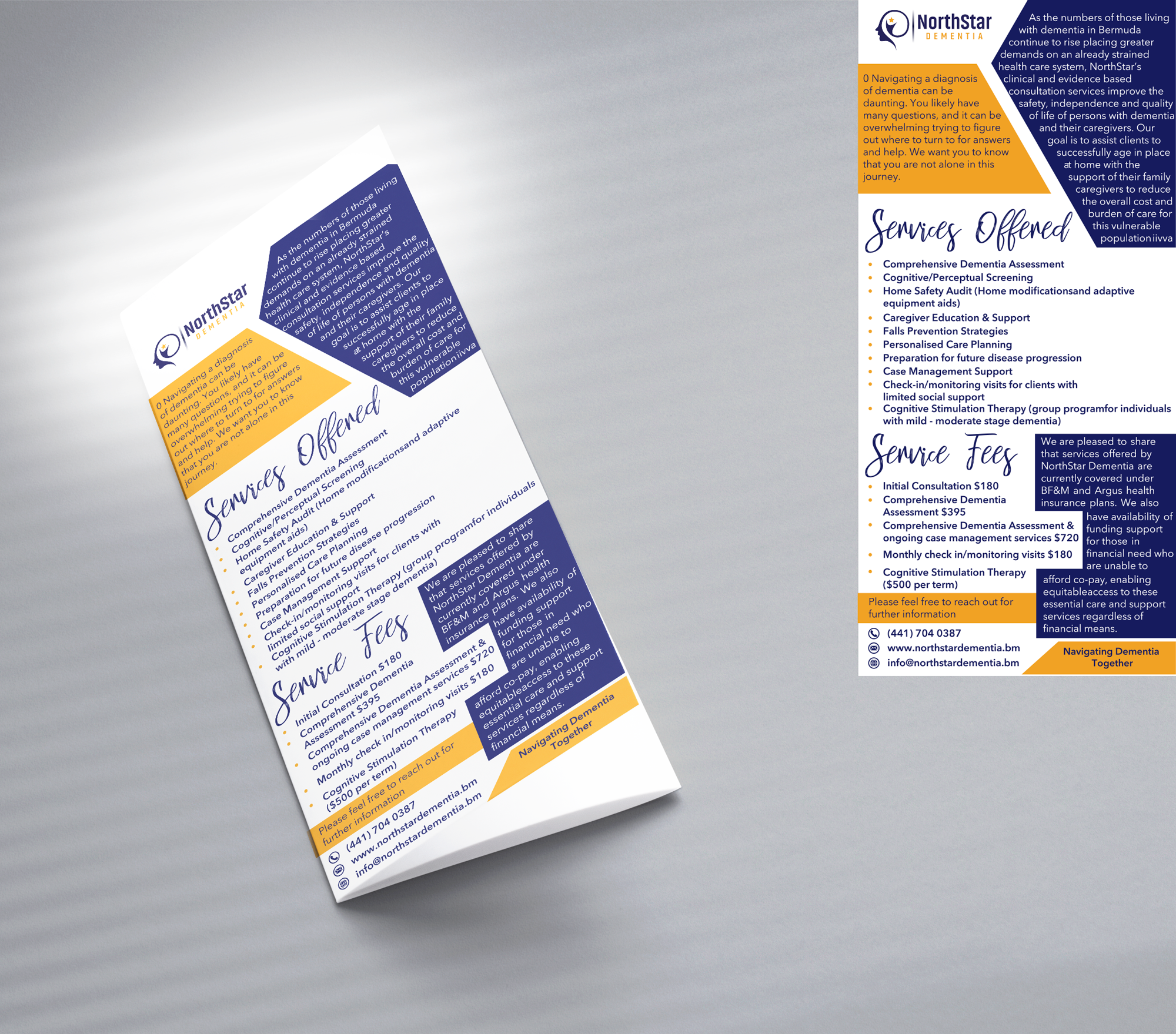 Diseño de Flyer por RA-bica para este proyecto | Diseño #32511481