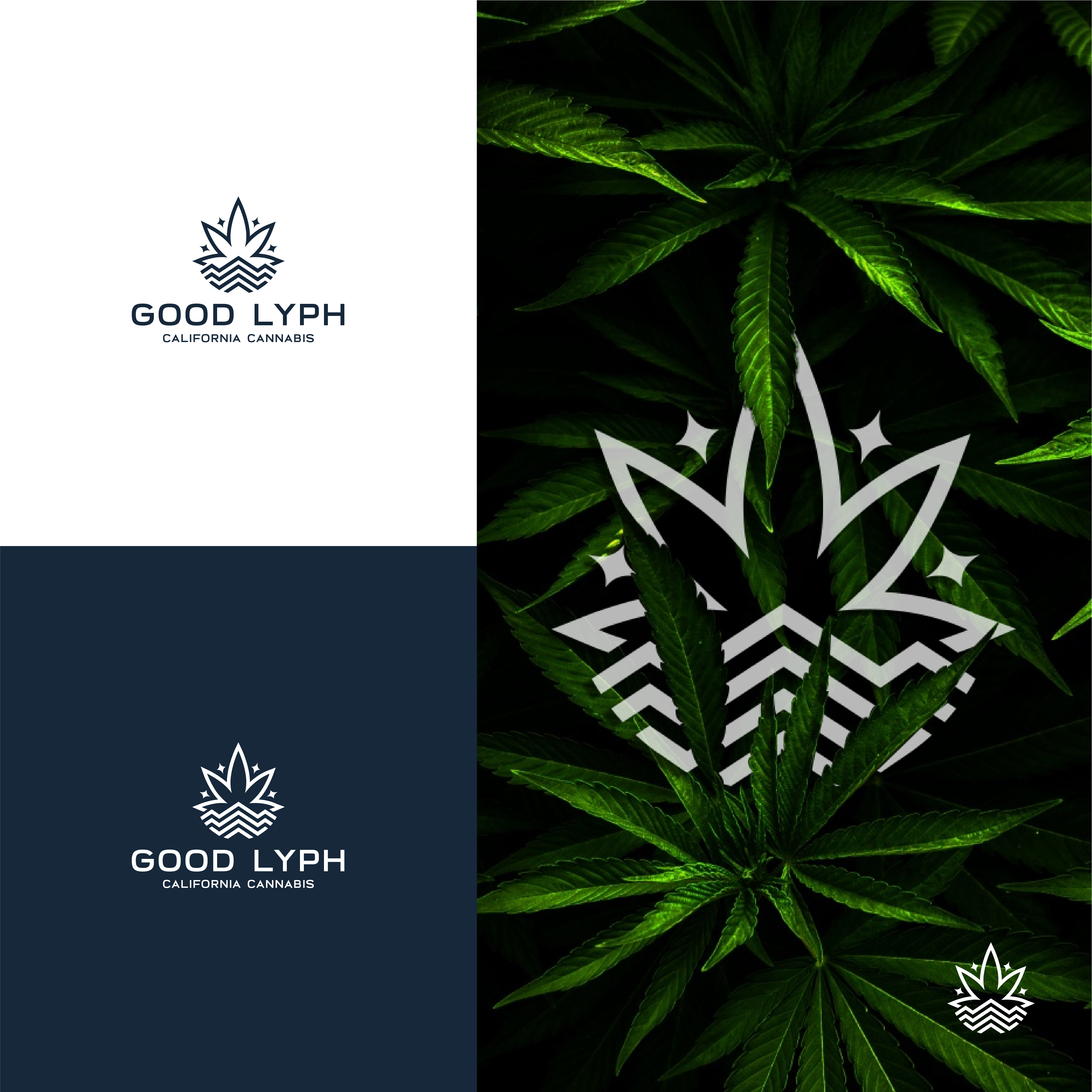 Logo Design by the3kings for E Vlosky Consulting | Design #32526166