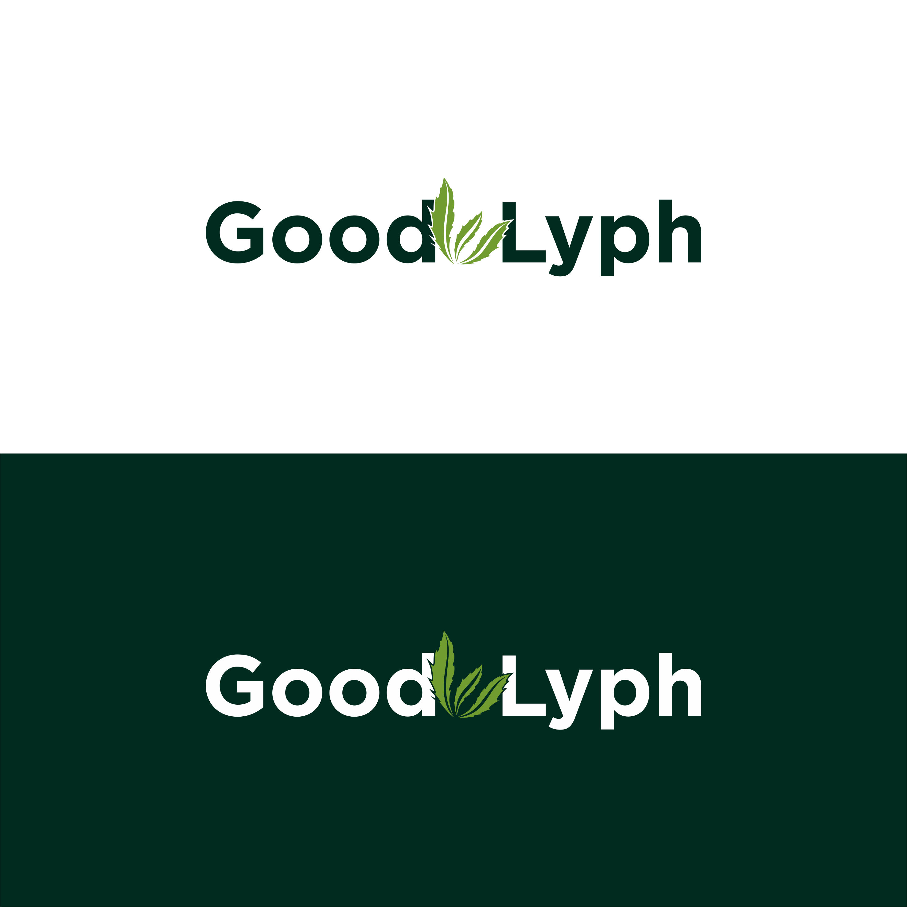 Logo Design by Rukhan for E Vlosky Consulting | Design #32515684