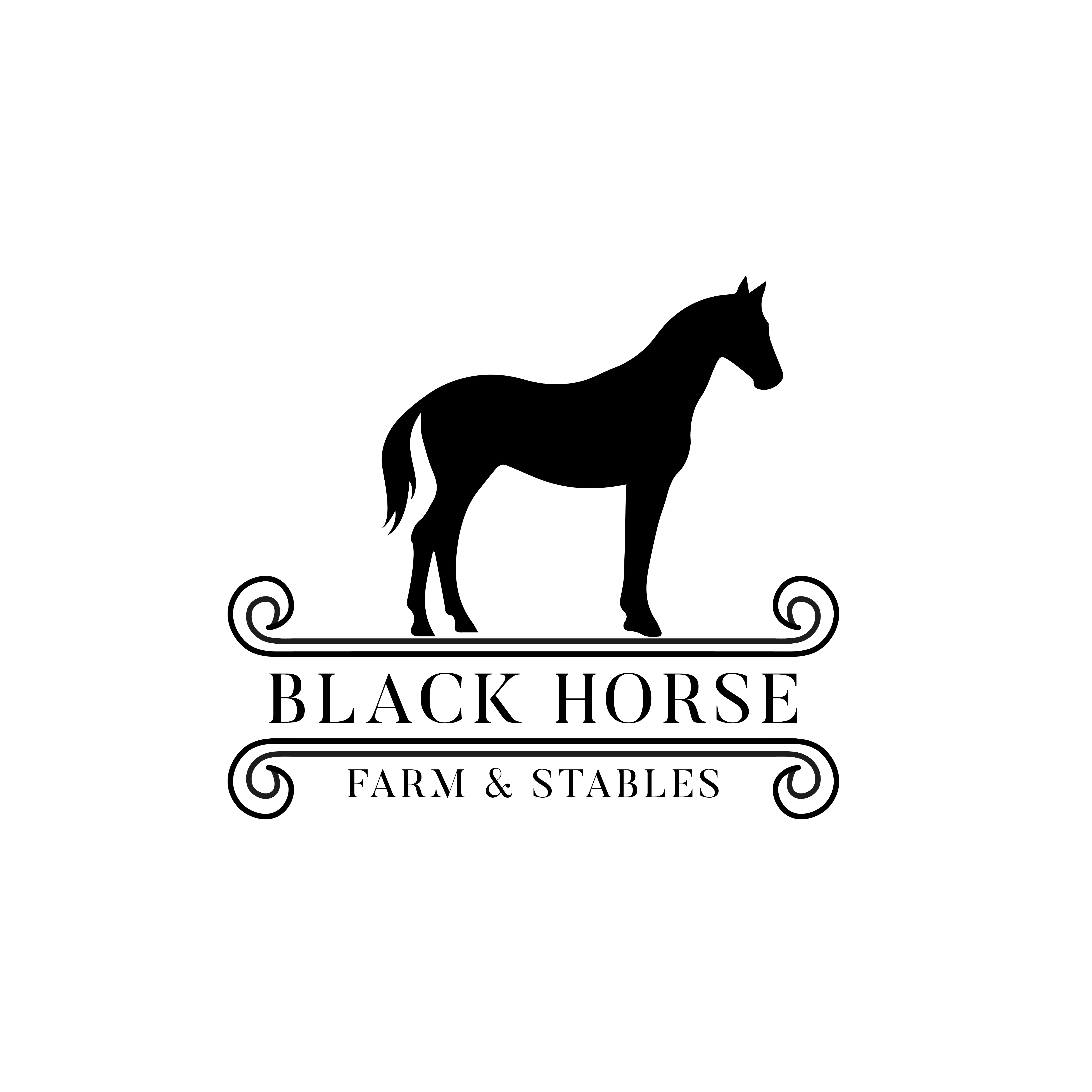 Logo Design by nurrun94 for this project | Design #32647245