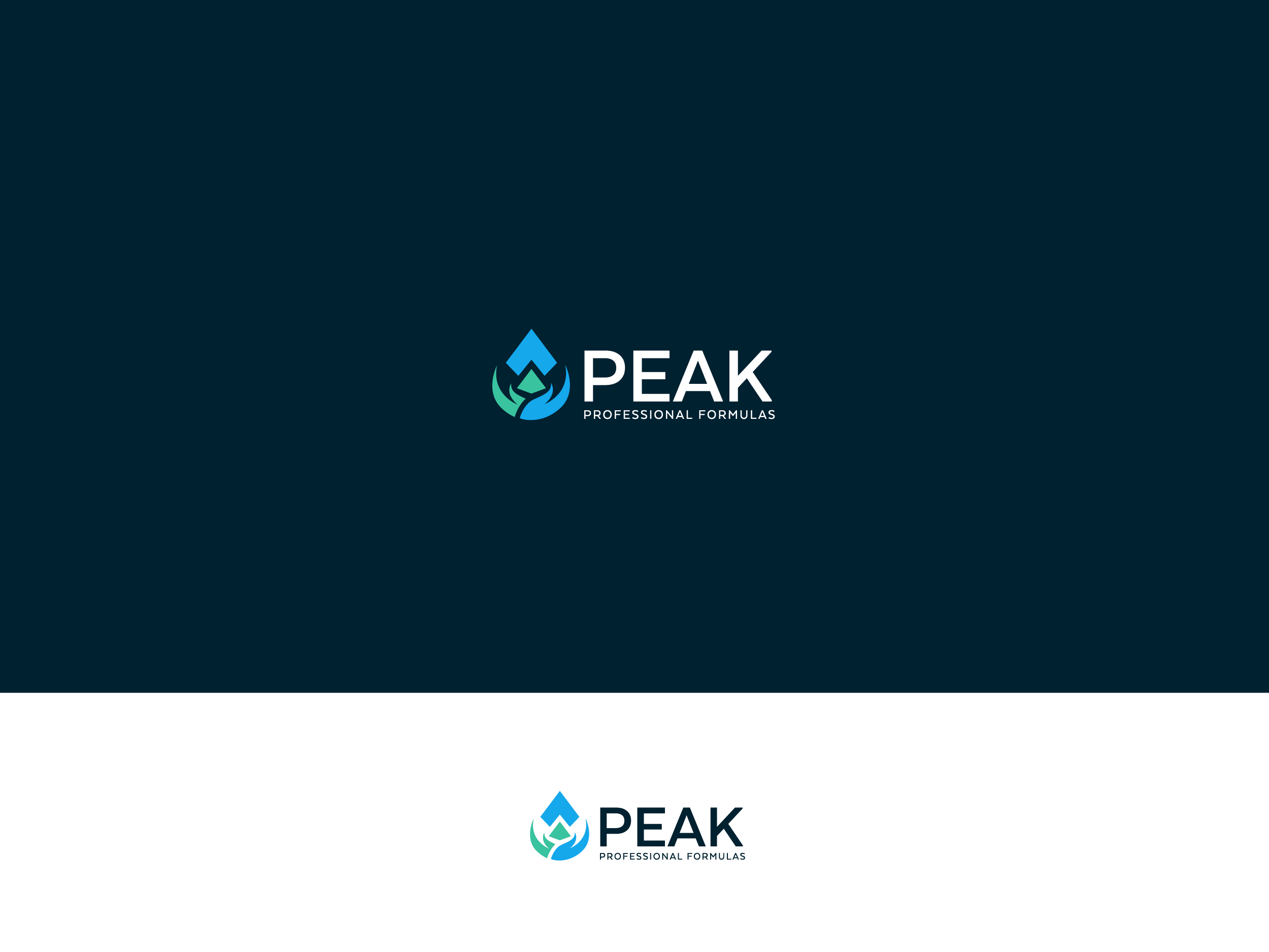 Logo Design by Ak4li™ for this project | Design #32523478