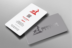 Design de Carte de Visite par Brand aid pour BerglerEnergie AG | Design : #32523123