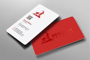 Design de Carte de Visite par Brand aid pour BerglerEnergie AG | Design : #32523124