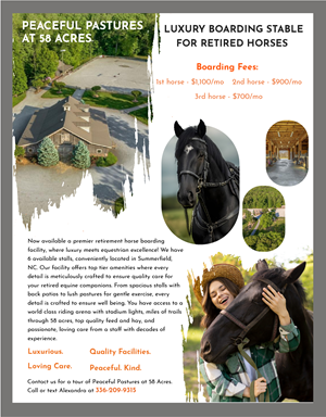 Flyer Design by ecorokerz for this project | Design: #32525535