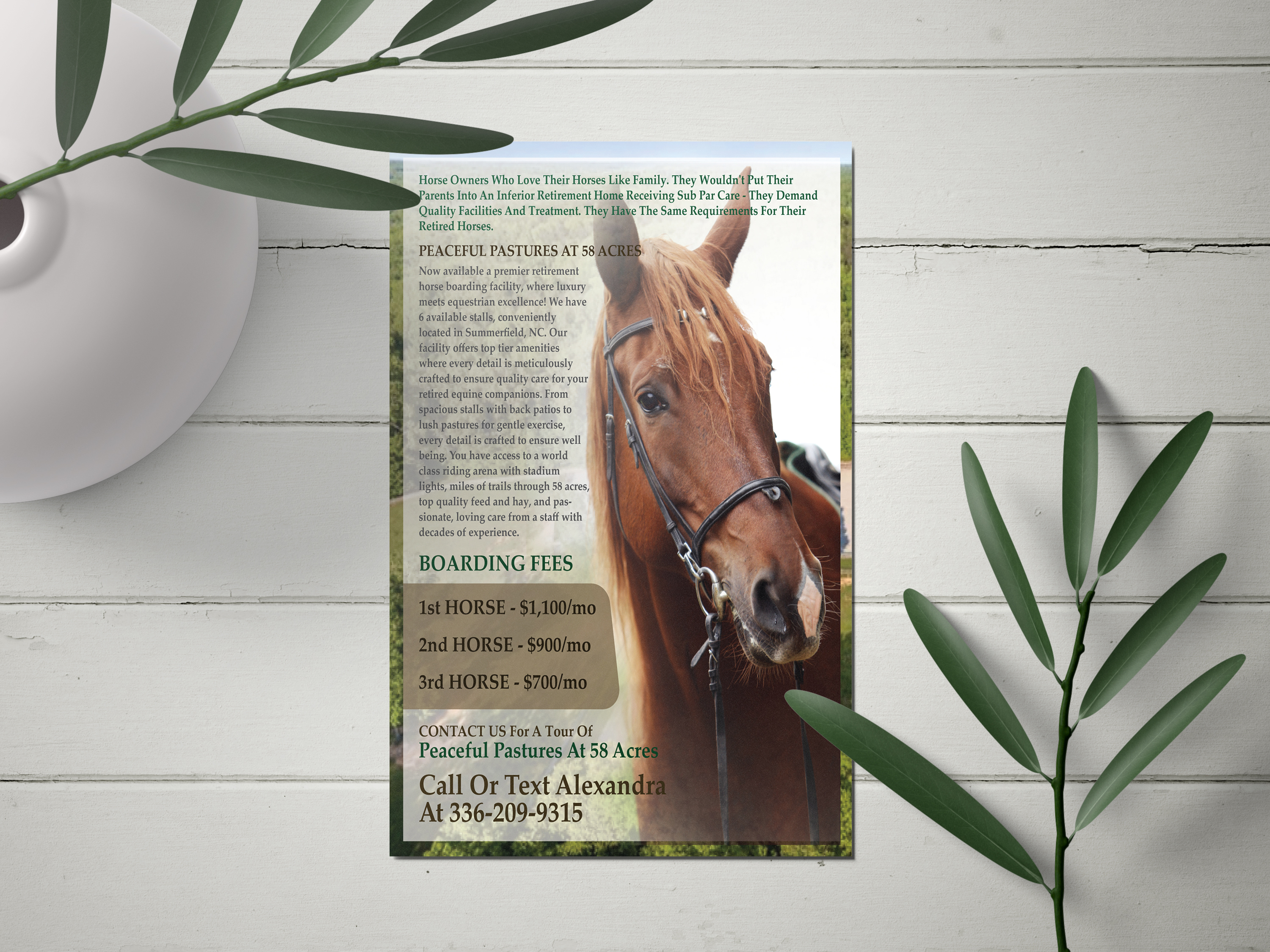 Flyer-Design von Magic of Art für dieses Projekt | Design #32531385