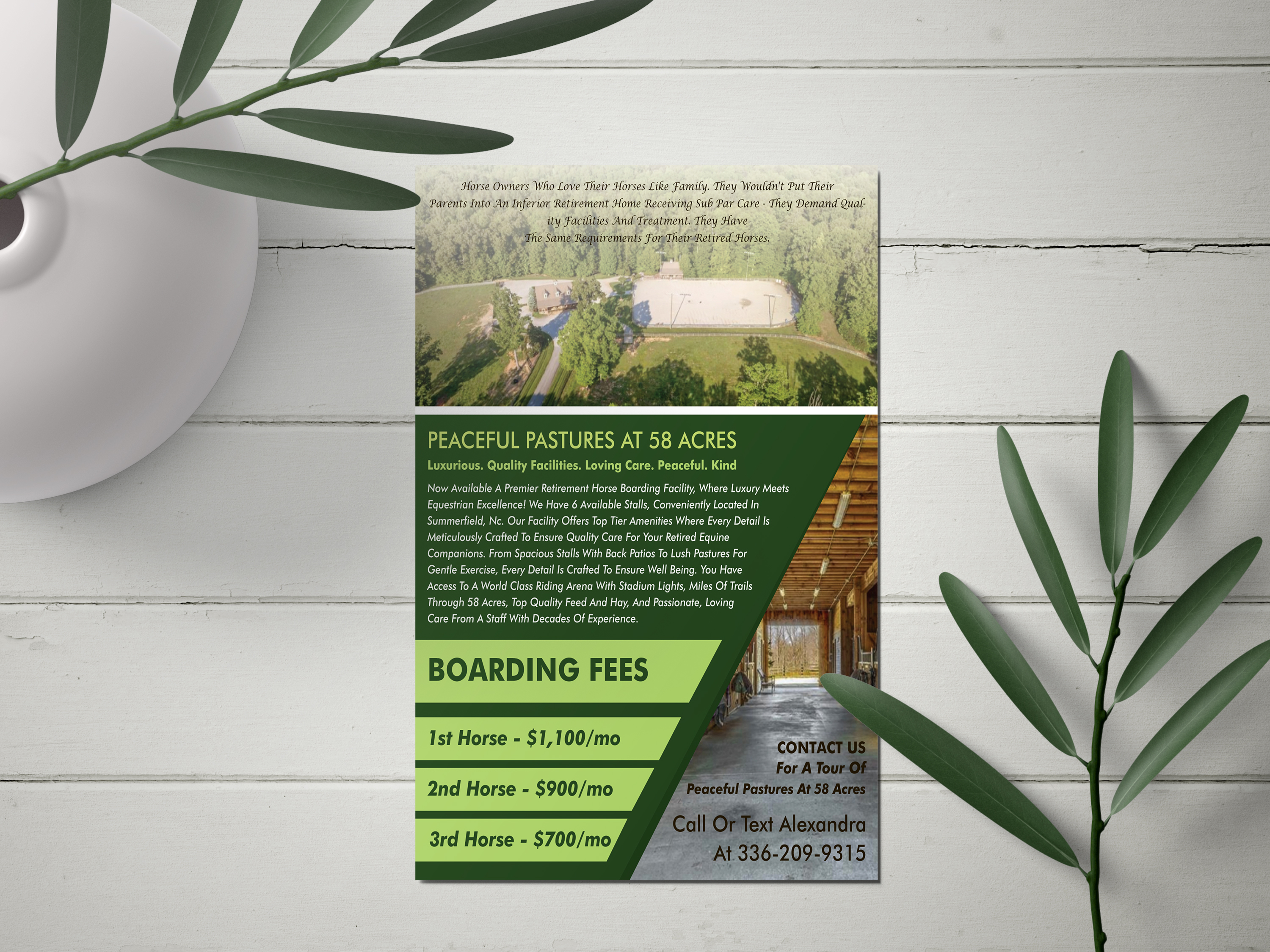 Flyer Design by Magic of Art for this project | Design #32532058