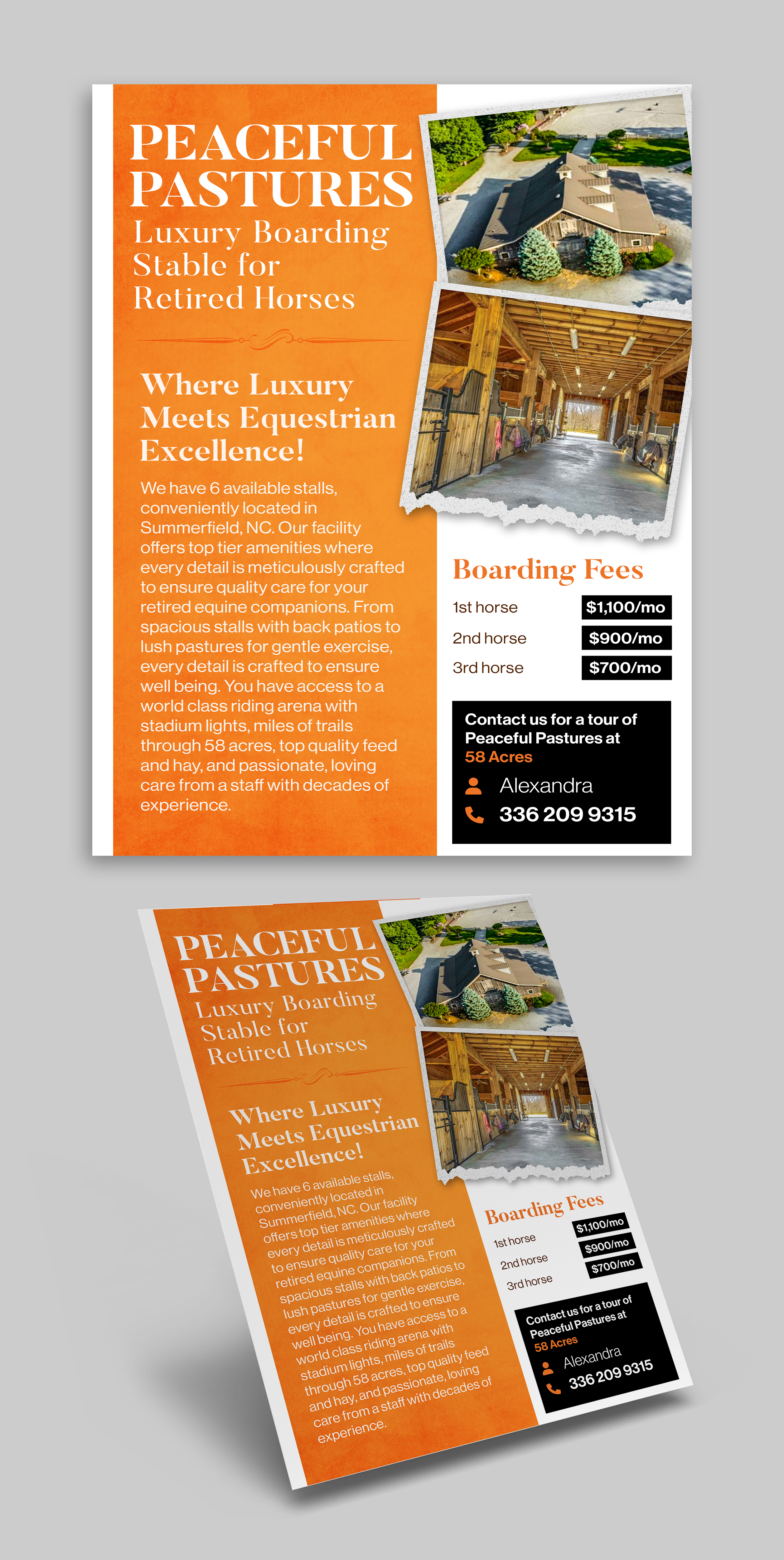 Flyer-Design von Graphic Guy für dieses Projekt | Design #32529661