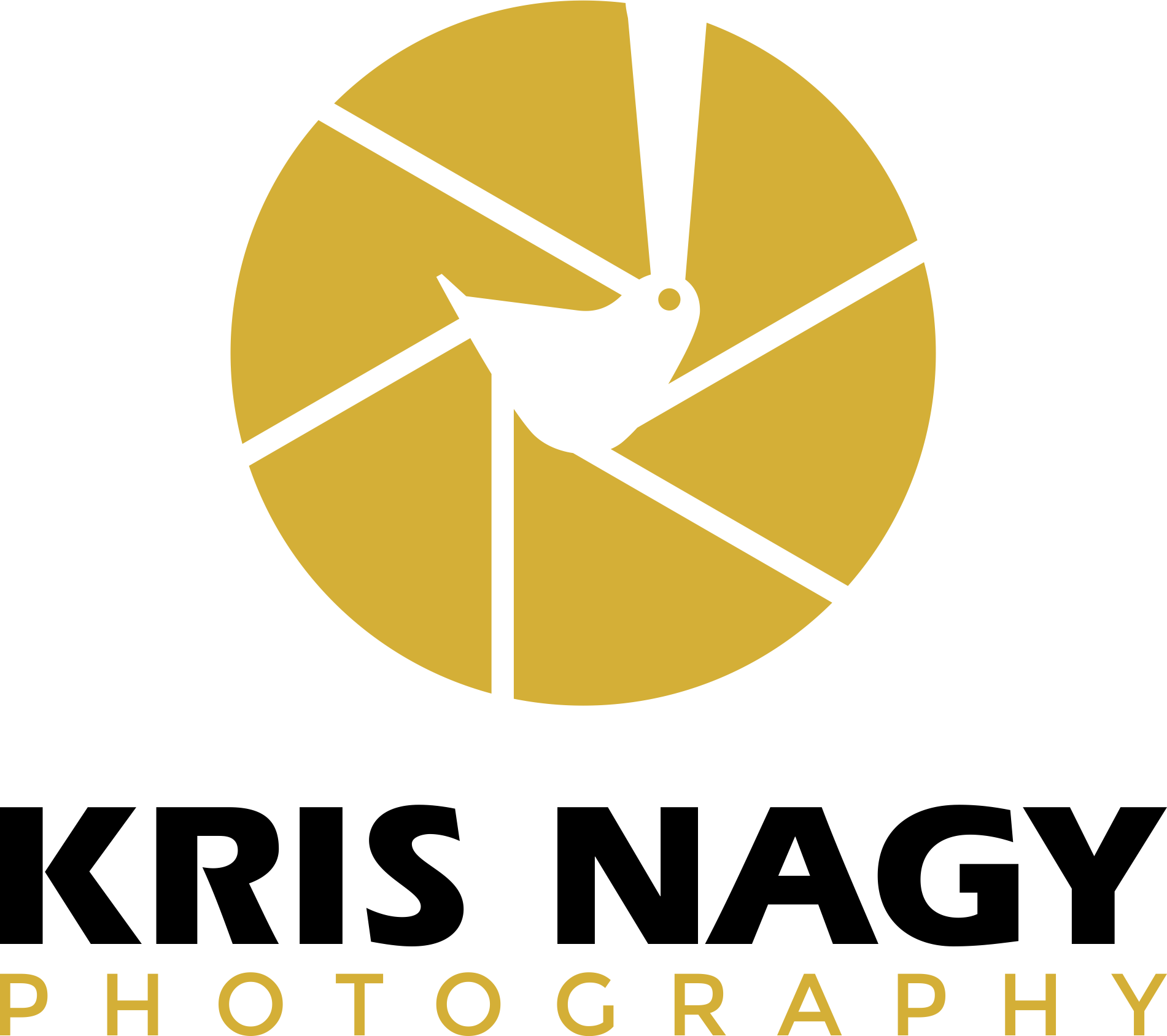 Logo Design by dhanuboy for this project | Design #32575515