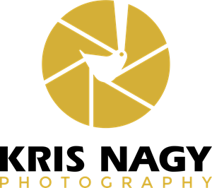 Logo Design by dhanuboy for this project | Design: #32575515