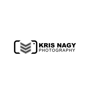 Logo Design by Krold IT Solutions for this project | Design: #32552725