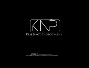 Logo Design by dan99