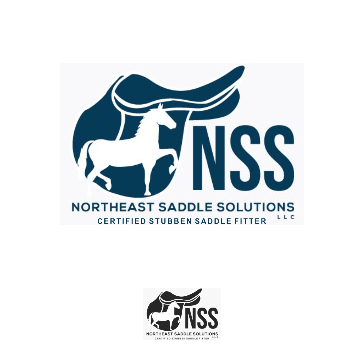 Design de Logo par fly  design pour Northeast Saddle Solutions LLC | Design #32582464