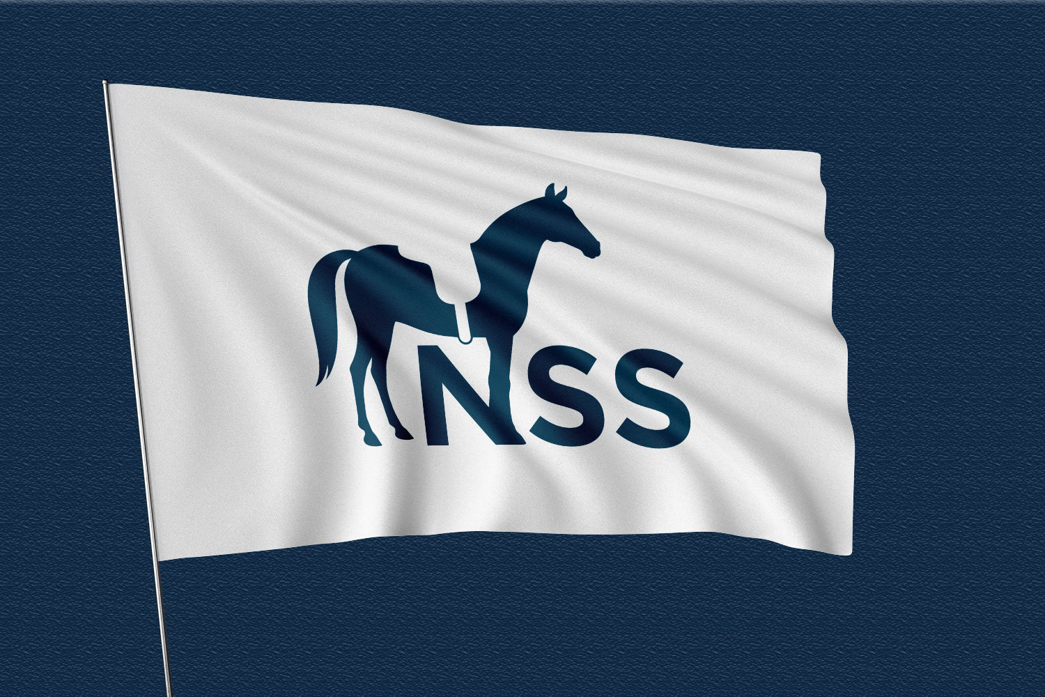 Logo-Design von Abdul 20 für Northeast Saddle Solutions LLC | Design #32551804