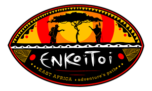 Logo Design by Maria del Mar