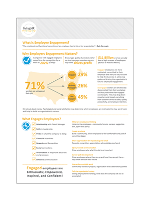 Infographic Design by huujdesign