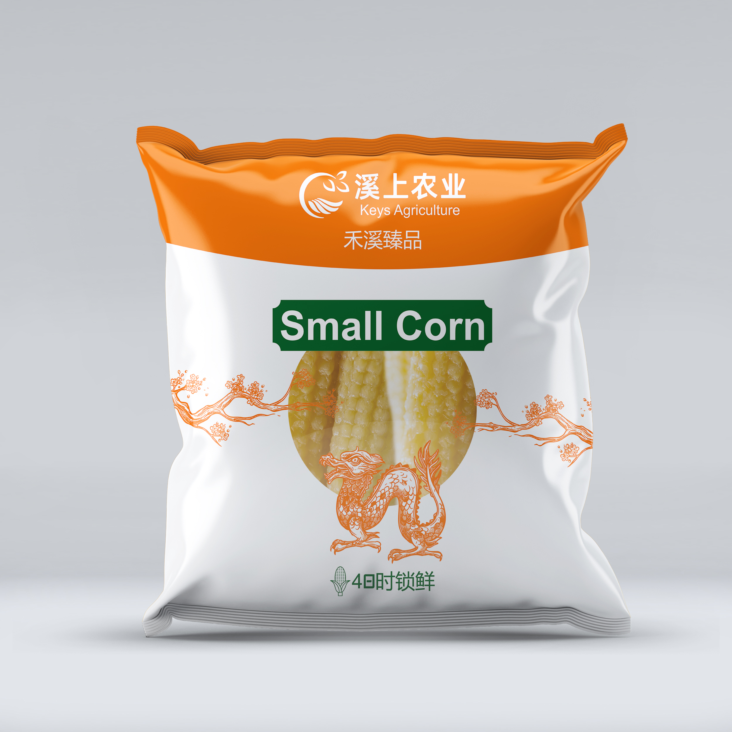 Packaging Design by Jose Loaiza for this project | Design #32599277