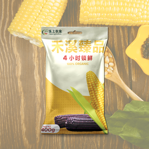Packaging Design by Hassan159