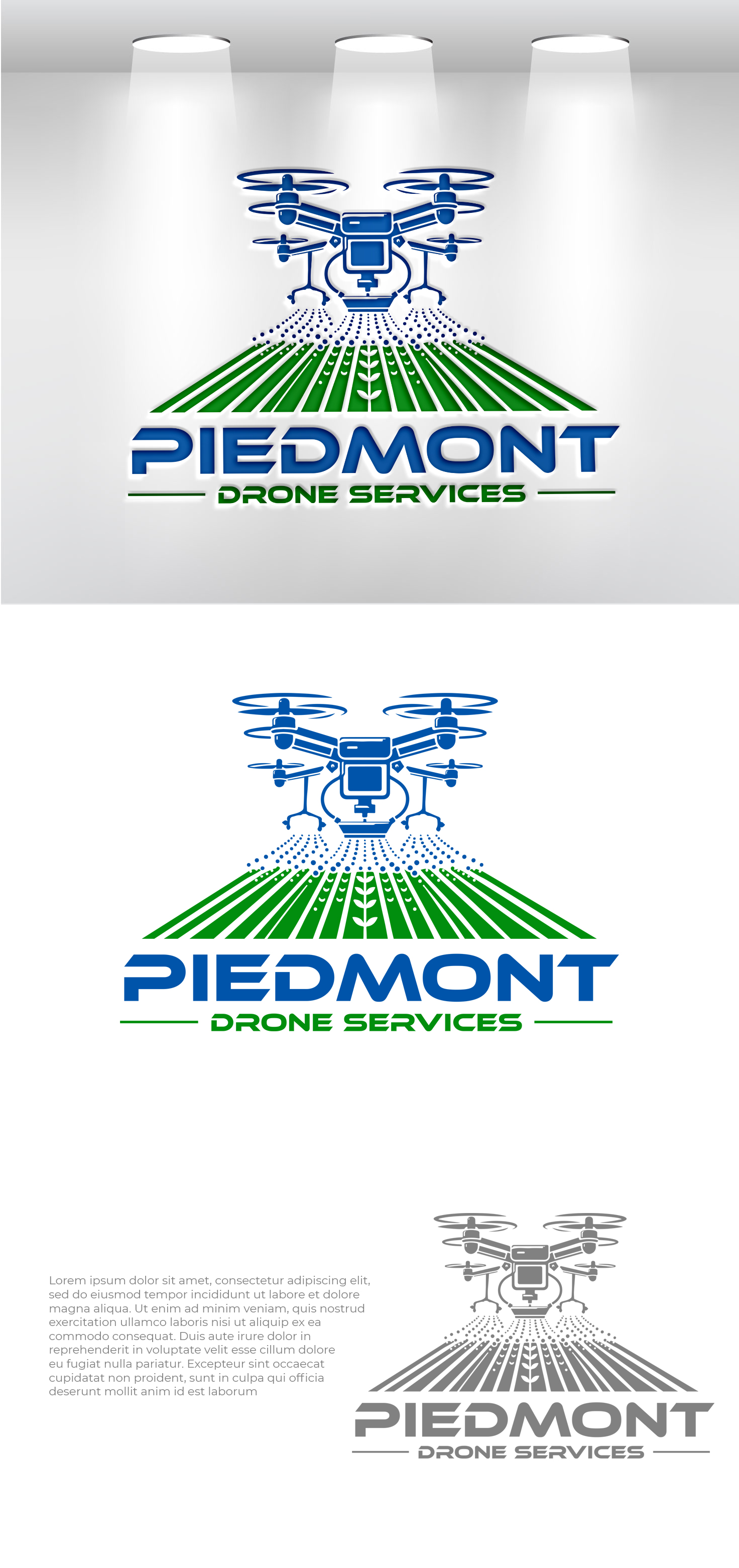 Logo Design by Jelena B for this project | Design #32562256