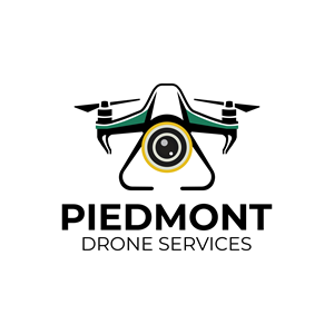 Logo Design by ndryart