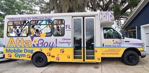 Car Wrap Design by Nexo for this project | Design: #32613042