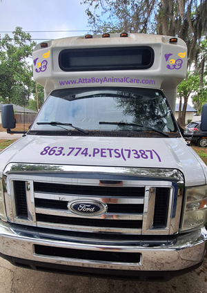 Car Wrap Design by Nexo for this project | Design: #32613044