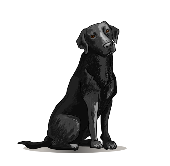 Design de Mascotte par Mario Bianchi pour ce projet | Design #32611953