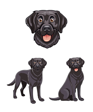 Design de Mascotte par YAS9 pour ce projet | Design : #32582534