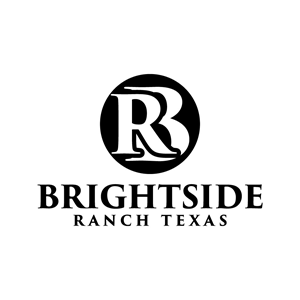 Design de Logo par Ahmed Sami 1 pour Apache Hill Ranch | Design : #32582572