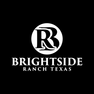 Design de Logo par Ahmed Sami 1 pour Apache Hill Ranch | Design : #32582574