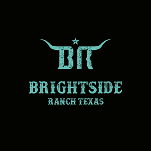 Diseño de Logo por Mahera23 para Apache Hill Ranch | Diseño: #32574707