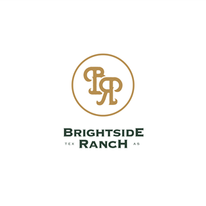 Logo Design by Autorunclub Studio