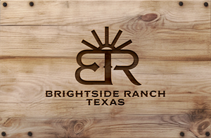 Design de Logo par Solarex Corporation pour Apache Hill Ranch | Design : #32608071