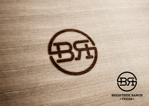 Logo Design by aquabomb26 for Apache Hill Ranch | Design: #32570508