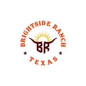 Design de Logo par ben@rt pour Apache Hill Ranch | Design : #32611671