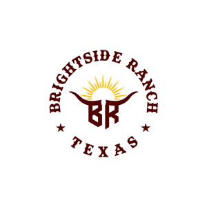 Design de Logo par ben@rt pour Apache Hill Ranch | Design : #32611689
