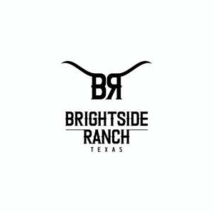 Logo Design by Ashani Bhattacharya for Apache Hill Ranch | Design #32571420