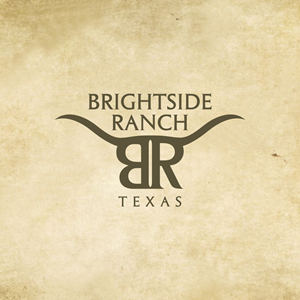 Logo Design by Ashani Bhattacharya for Apache Hill Ranch | Design: #32571499