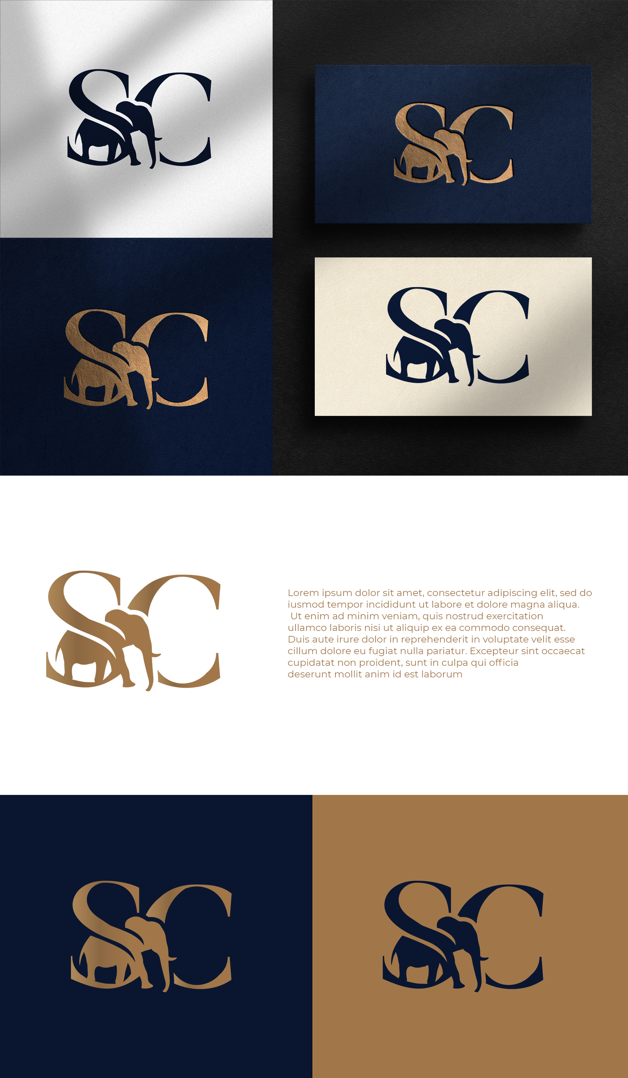 Logo Design by Jelena B for this project | Design #32573820