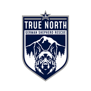 Logo Design by Avartde for this project | Design: #32595329