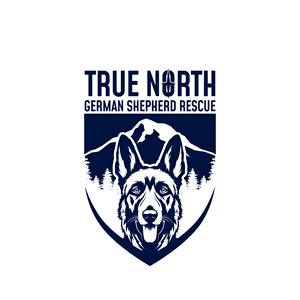 Logo Design by Avartde for this project | Design: #32605761