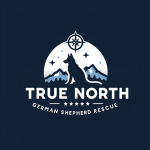 Logo Design by Nicky Beckhum for this project | Design #32584131