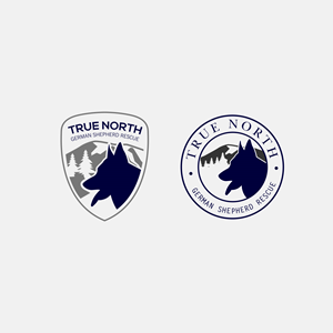 Logo Design by DesignSNW for this project | Design: #32580387