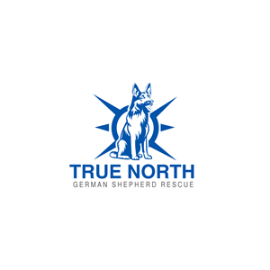 Logo Design by Krold IT Solutions for this project | Design: #32582802