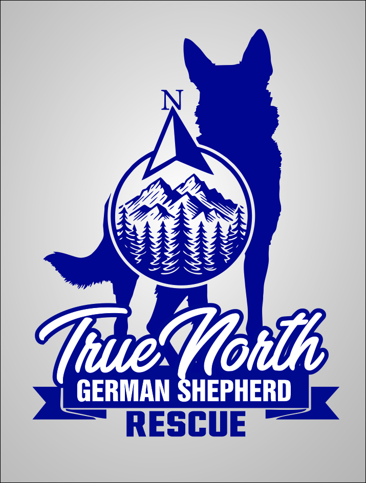 Logo Design by Pipeyard for this project | Design #32584172