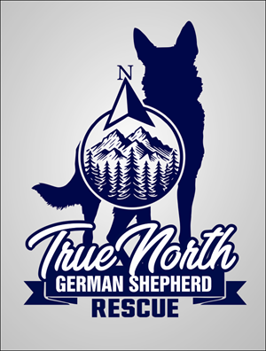 Logo Design by Pipeyard for this project | Design: #32584172