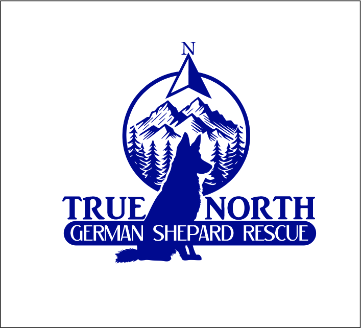 Logo Design by Pipeyard for this project | Design #32584173