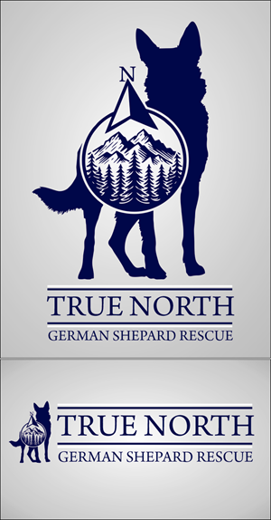 Logo Design by pipeyard