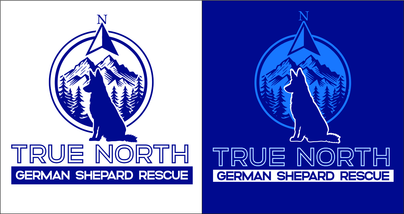 Logo Design by Pipeyard for this project | Design #32584175